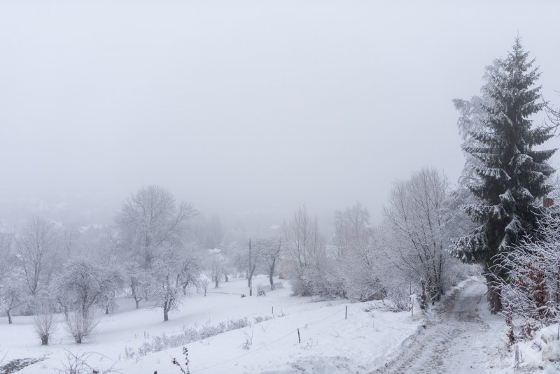 Panorámás kilátással Bran apartman Törcsvár 710772 thumb