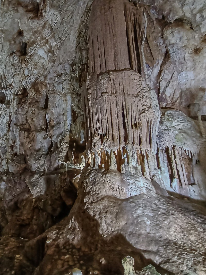Popasul Urșilor Panzió Kiskoh 715788 thumb
