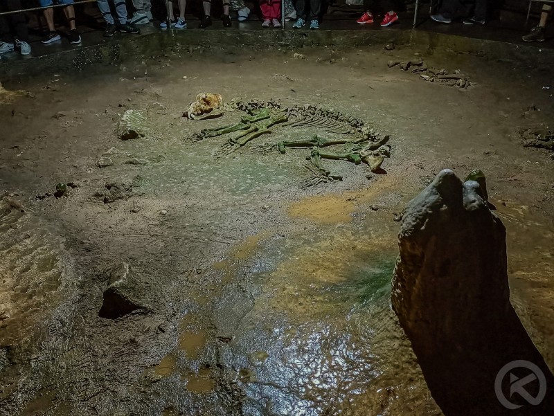 Popasul Urșilor Panzió Kiskoh 715789 thumb