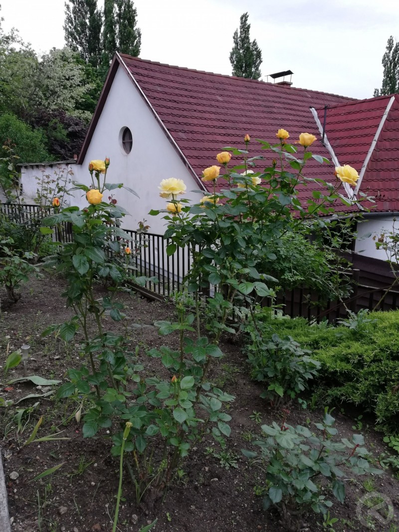 Barbara Apartmanház Miskolc 715064 thumb