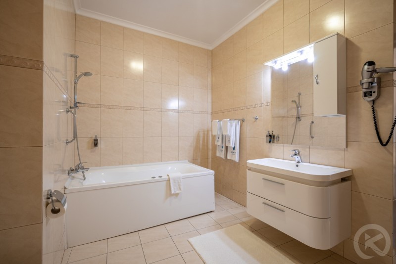 HOTEL TRAIAN Brajla 713019 thumb