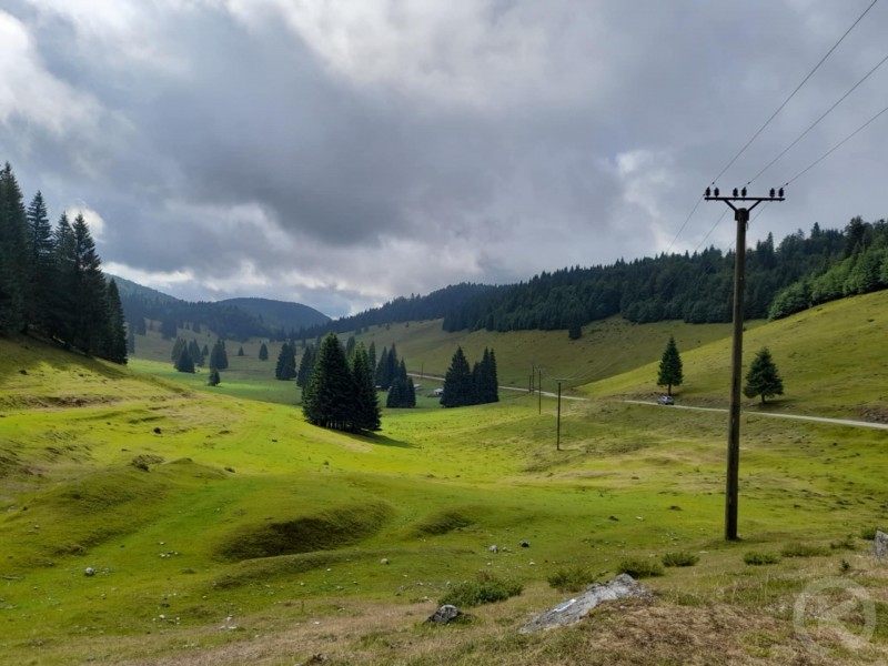 Padiș turisztikai övezet