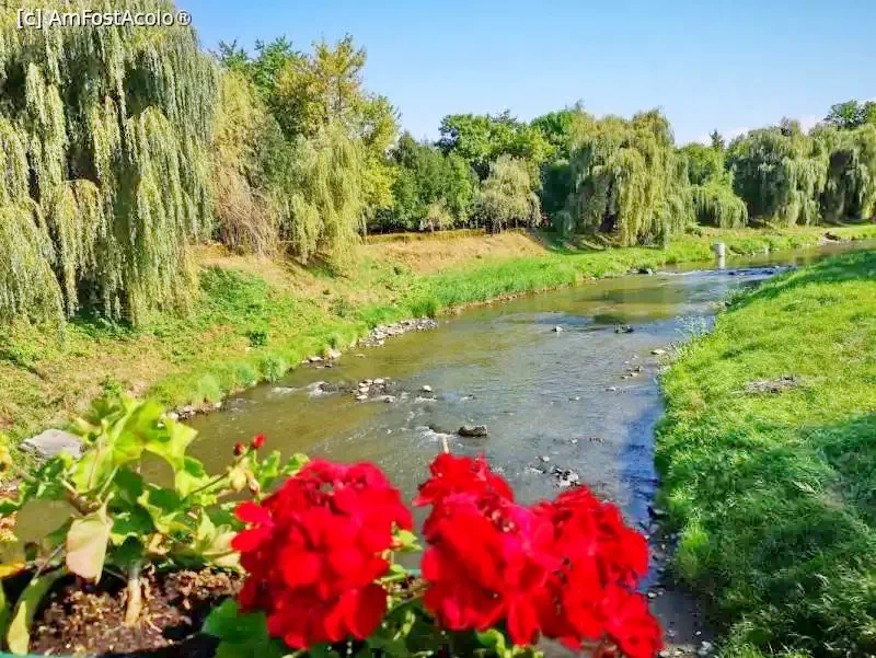 Székelyudvarhely 953 thumb